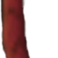 palmtrunk.png