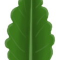 pansy_leaf.png