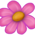 pink_bloom.png