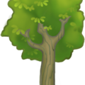 tree_big_2.png