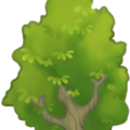 tree_big_top.png