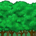 trees_bg.png