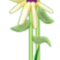 tt_t_ara_mat_flowers_A.png