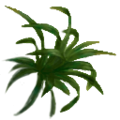 vine_plant_a.png