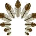 west_featherHeaddress.png